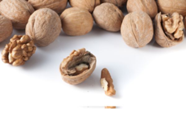 房贷提前还款需要申请带什么资料