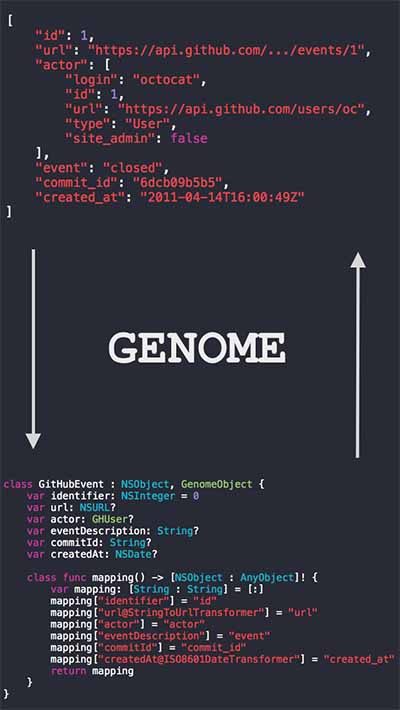 Genome JSON 映射模型
